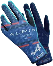 Racing gloves V1RAGE